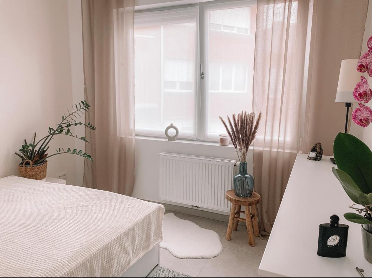 Vintage Dream Apartment Zwijndrecht Bagian luar foto
