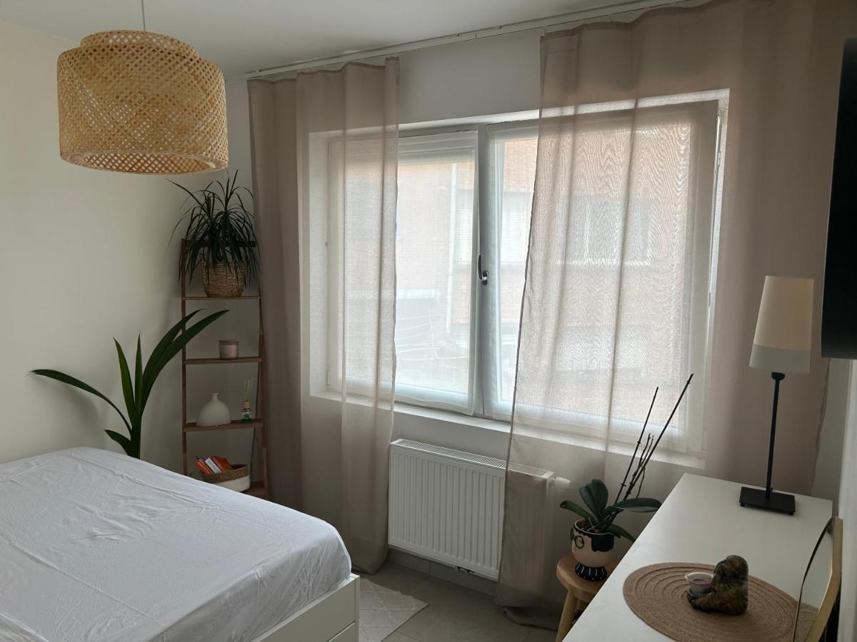 Vintage Dream Apartment Zwijndrecht Bagian luar foto