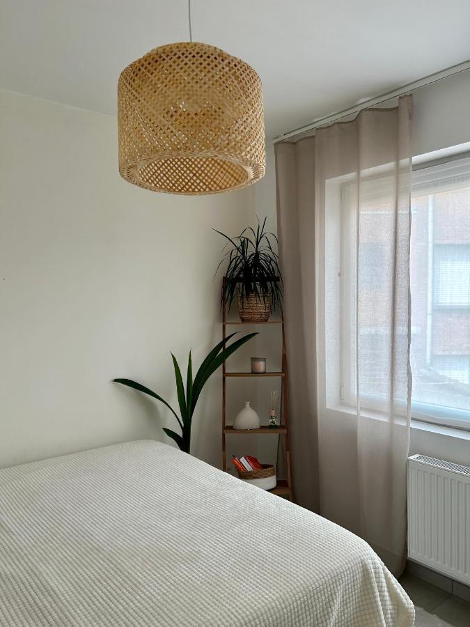 Vintage Dream Apartment Zwijndrecht Bagian luar foto